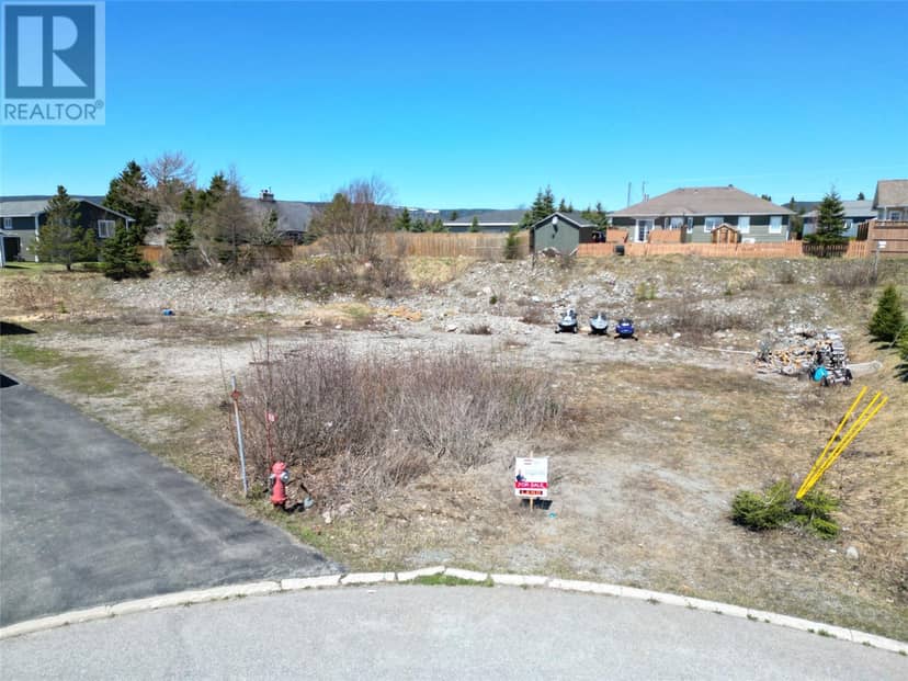 20 Billard Avenue, Stephenville, photo 2