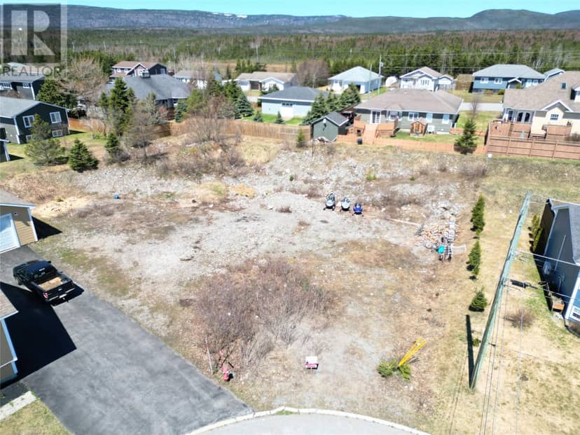 20 Billard Avenue, Stephenville, photo 3