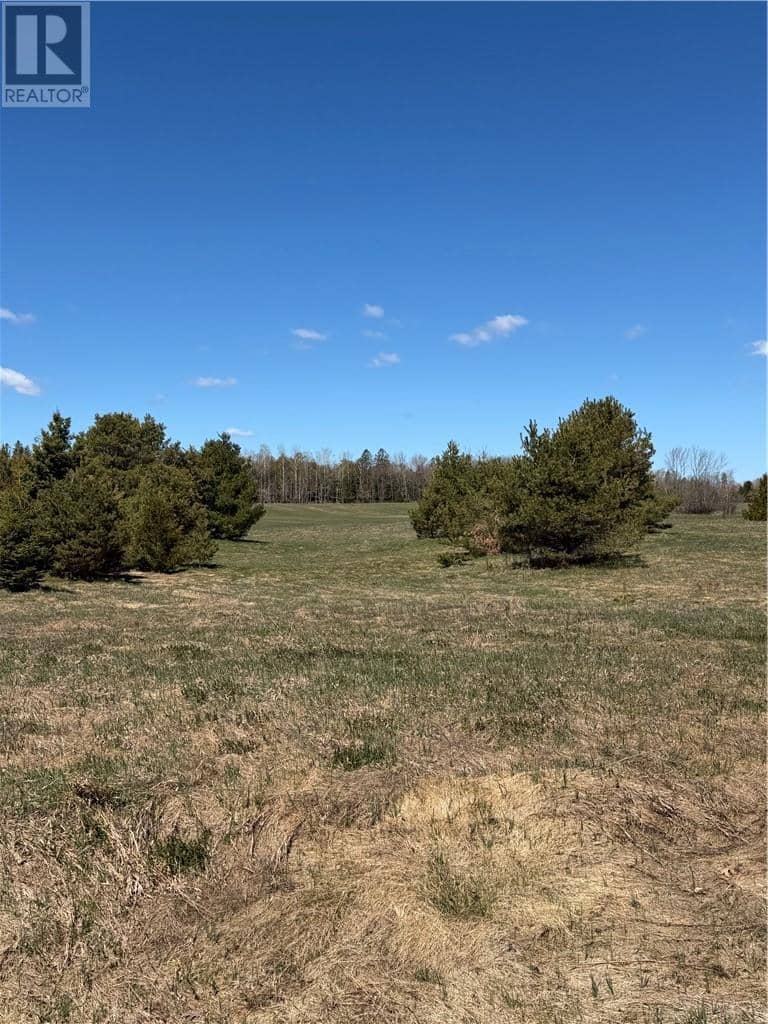 Lot 17 Deerfoot Trail, Mindemoya, photo 5