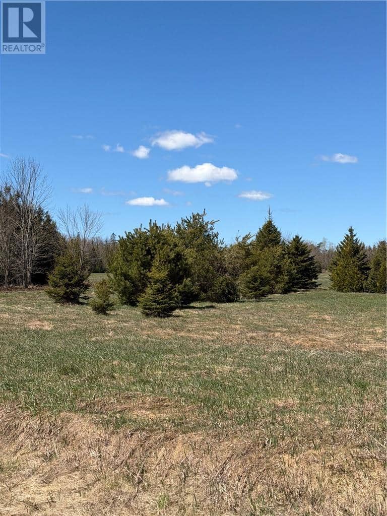 Lot 17 Deerfoot Trail, Mindemoya, photo 6