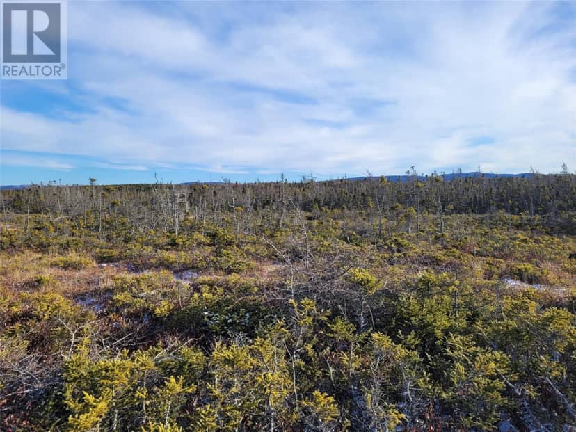0 MAIN Unit#Lot1, Barachois Brook, photo 4