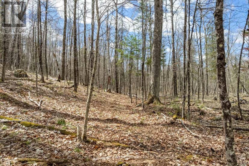 621 North Shore Rd Road — photo 14 of 37