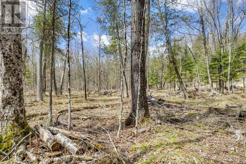 621 North Shore Rd Road — photo 17 of 37