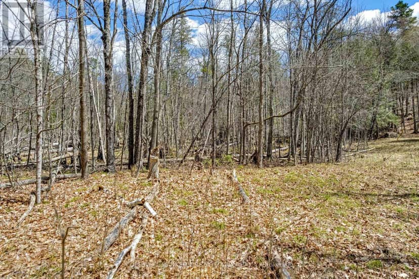 621 North Shore Rd Road, Lanark Highlands, photo 7