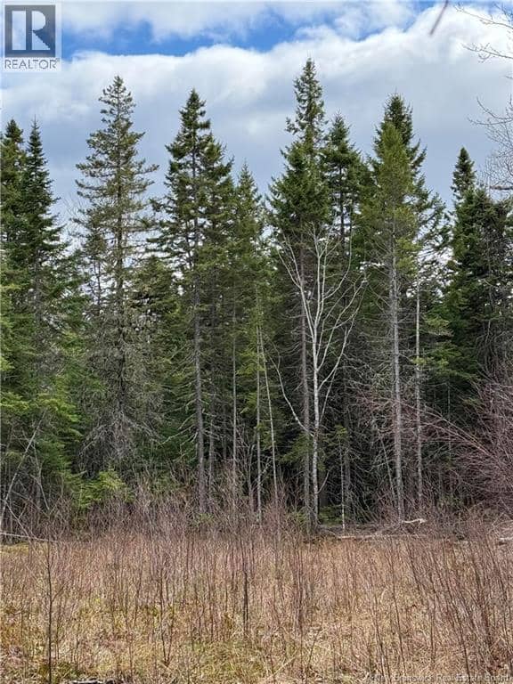 land Route 515, Saint-Paul, photo 2