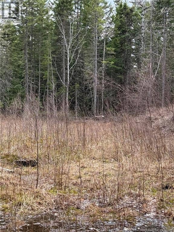 land Route 515, Saint-Paul, photo 3