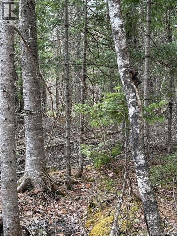 land Route 515, Saint-Paul, photo 6