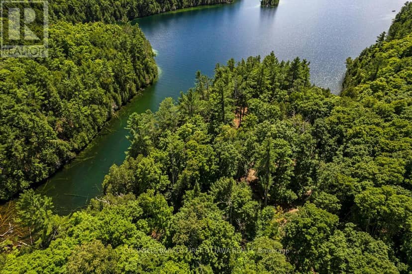 000 Palmerston Lake — photo 10 of 25