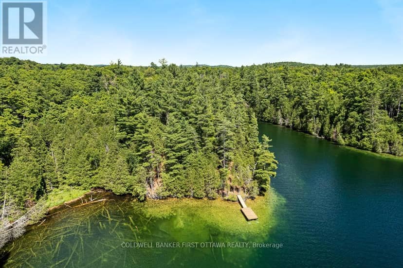 000 Palmerston Lake — photo 4 of 25
