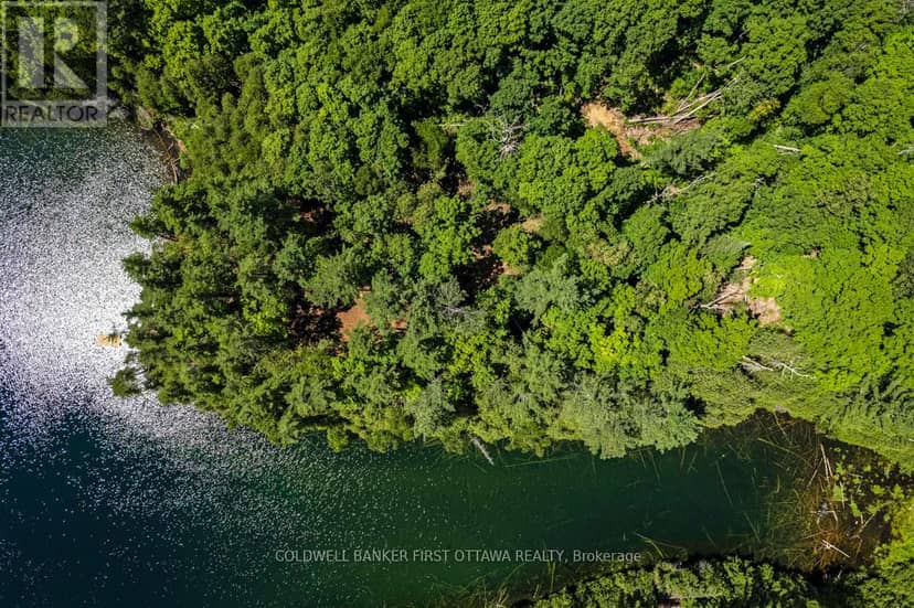 000 Palmerston Lake — photo 7 of 25