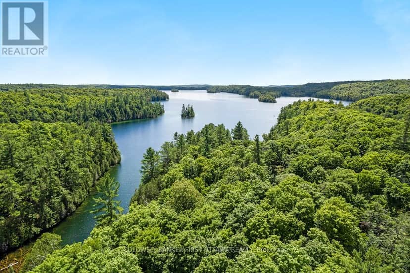 000 Palmerston Lake — photo 9 of 25