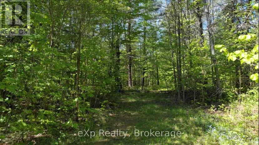 26 Magnet Road, Magnetawan, photo 7