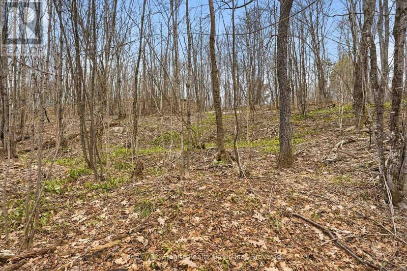 Pt Lt 6 Brady Lake Road — photo 5 of 24