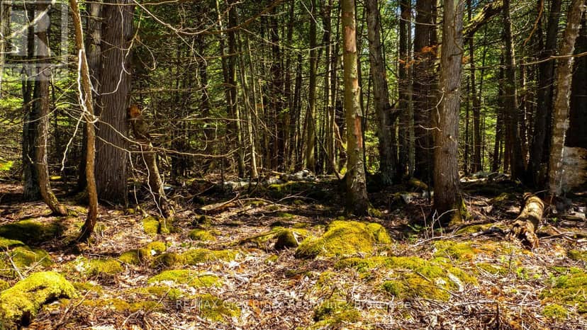 Lot 5 Trillium Crossing — photo 7 of 31