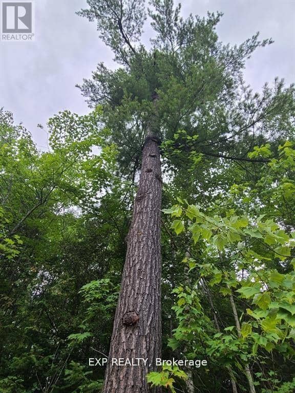 20 Peplinskie Homestead Road — photo 16 of 24