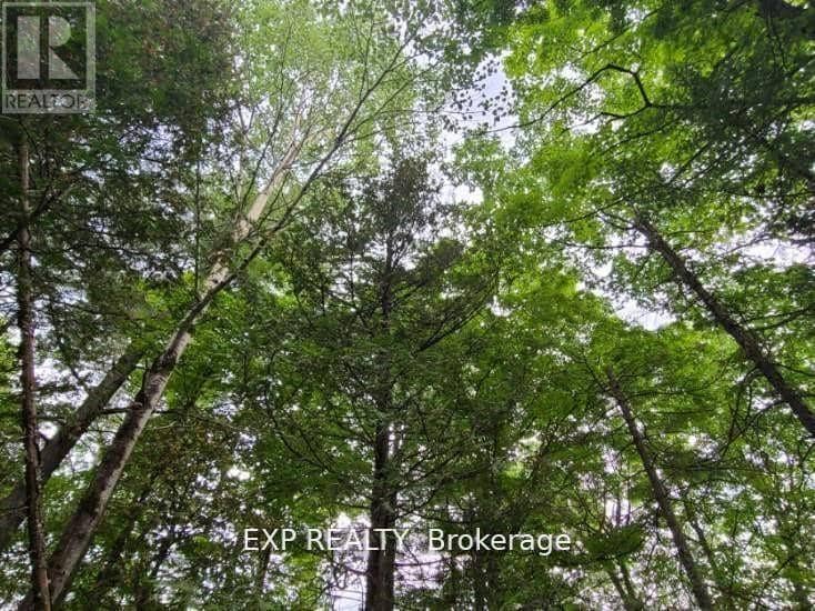 20 Peplinskie Homestead Road, Madawaska Valley, photo 4