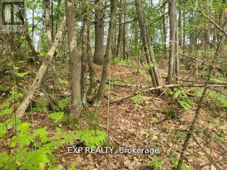 20 Peplinskie Homestead Road, Madawaska Valley, photo 8