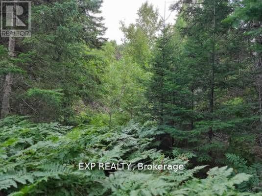 Pt Lt 8 Old Barry's Bay Road — photo 14 of 16