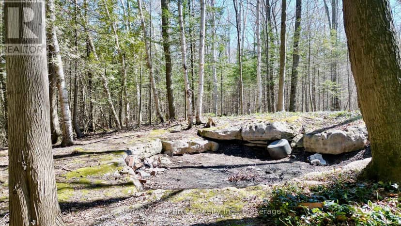 120 Tammy's Cove Road — photo 5 of 40