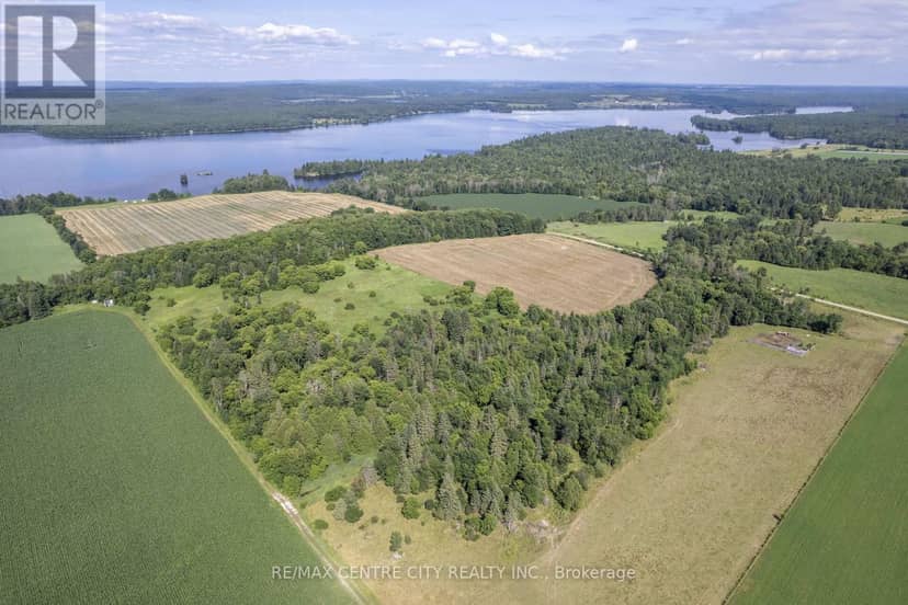 Pt Lts 38 & 39 Concession 9 Road — photo 4 of 34