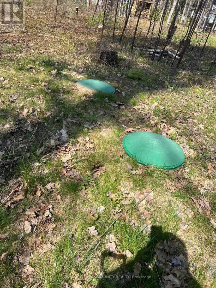 Lot 12 Stanley Road, Kawartha Lakes, photo 2