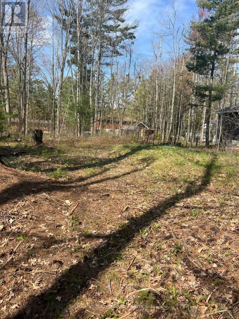 Lot 12 Stanley Road, Kawartha Lakes, photo 3