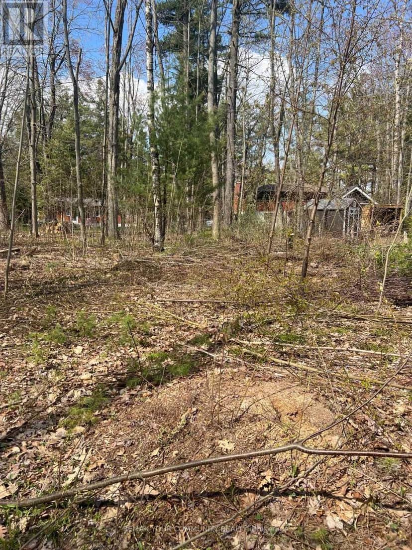 Lot 12 Stanley Road, Kawartha Lakes, photo 6