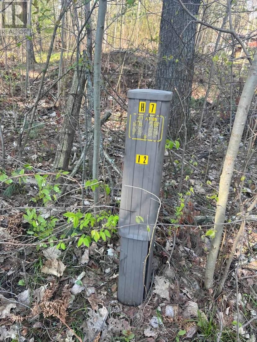 Lot 12 Stanley Road, Kawartha Lakes, photo 7