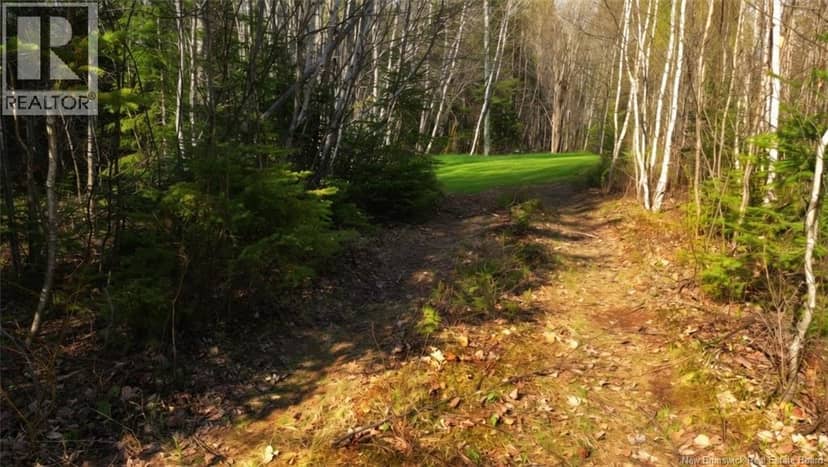 LOT Route 126, Harcourt, photo 2