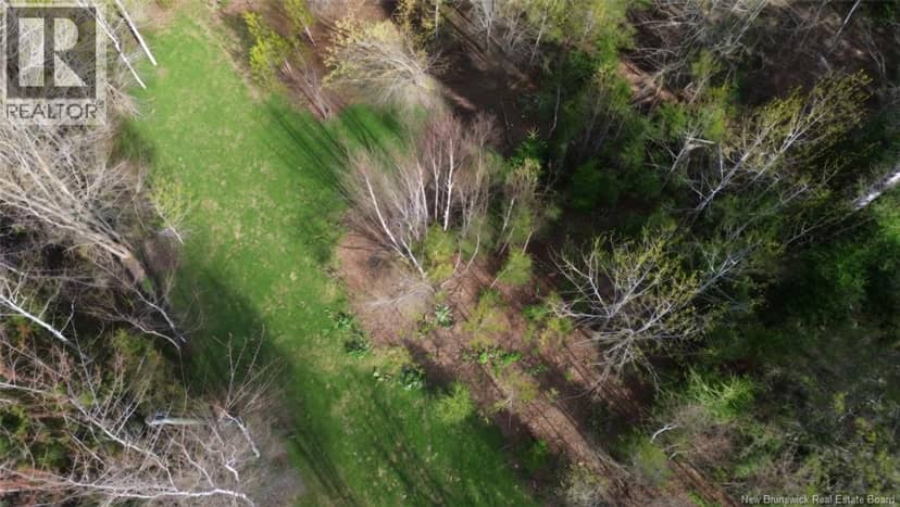 LOT Route 126, Harcourt, photo 3