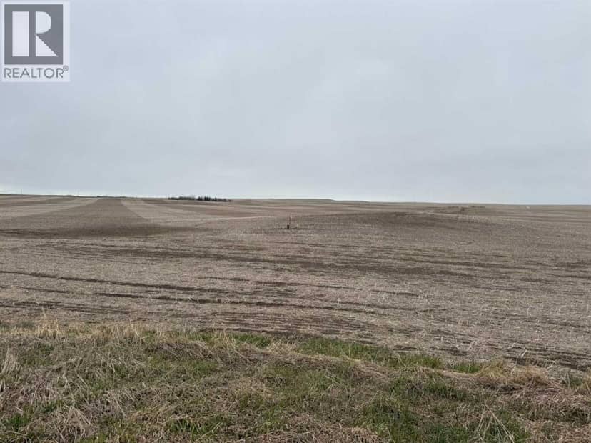 Township Road 194, Rural Vulcan County, photo 8