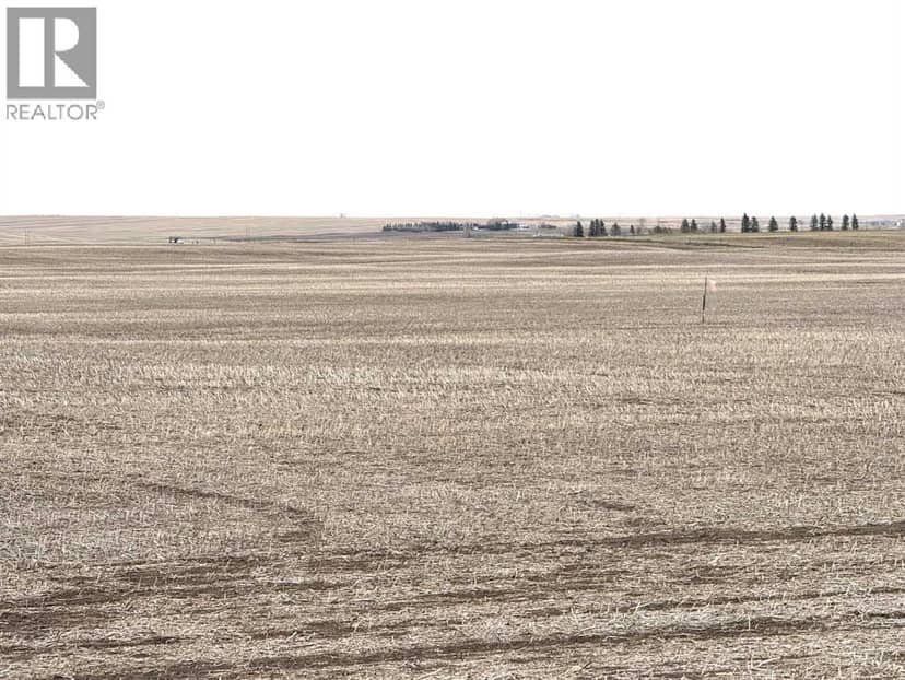 Township Road 194, Rural Vulcan County, photo 2