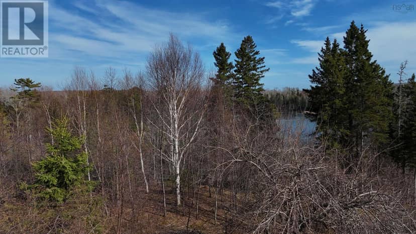 Orangedale-Iona Road — photo 7 of 14