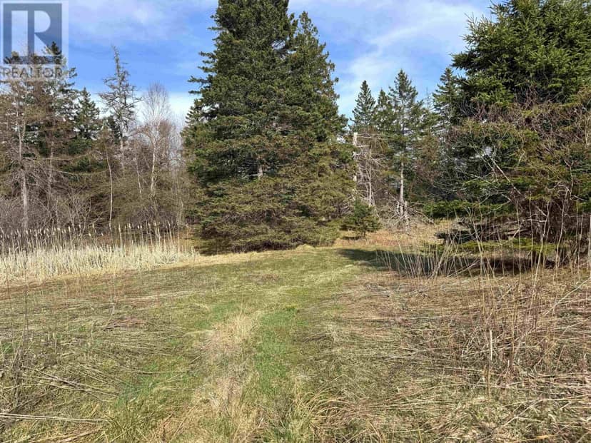 Orangedale-Iona Road — photo 4 of 14