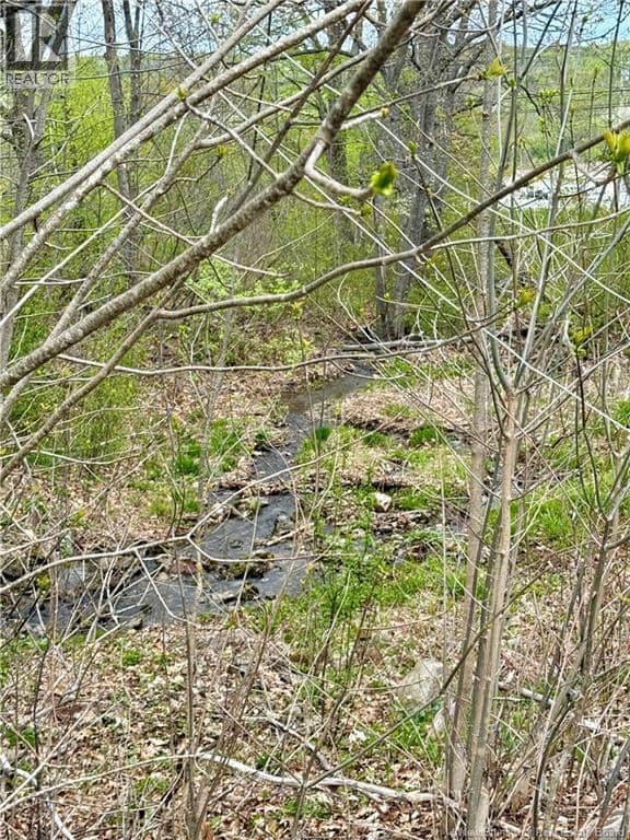 618 Rte 165 — photo 8 of 35