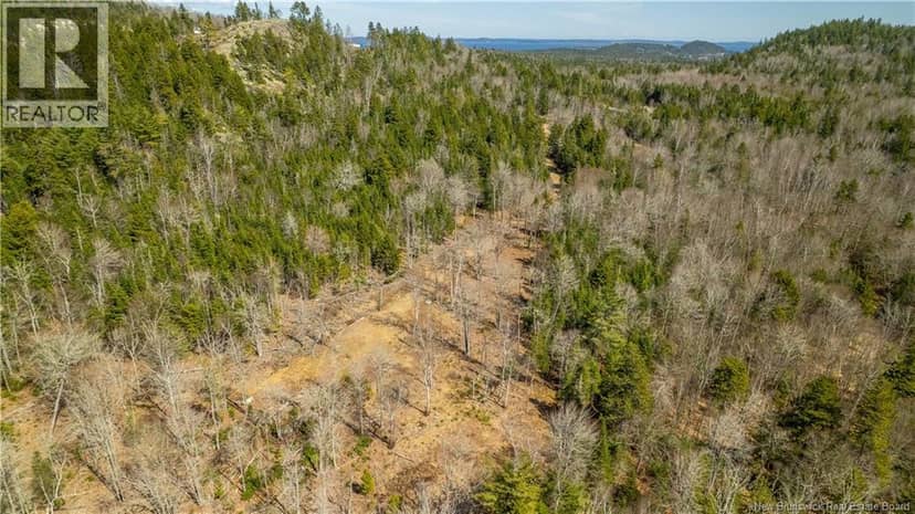 Lot 2021-01 and 02 Frye Road — photo 17 of 19