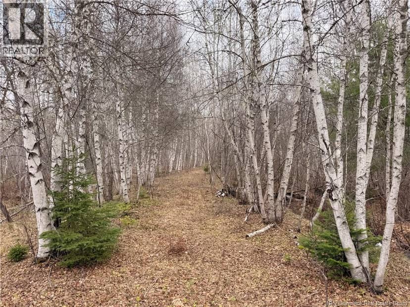 Lots McLaughlin Road — photo 1 of 10