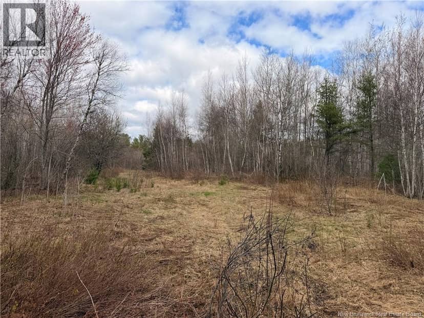 Lots McLaughlin Road — photo 2 of 10