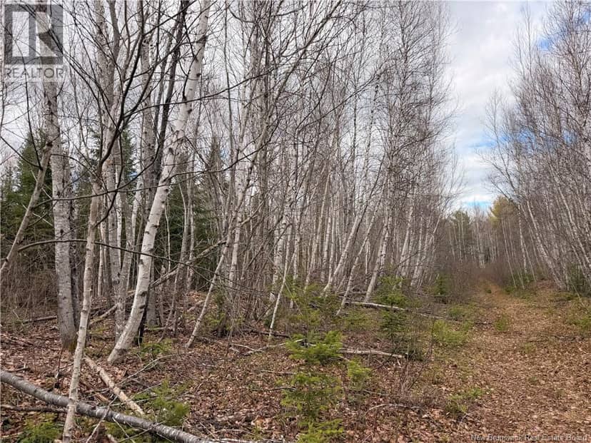 Lots McLaughlin Road — photo 3 of 10