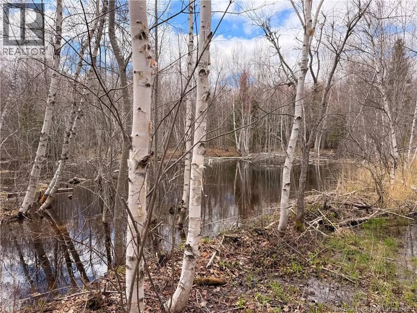 Lots McLaughlin Road — photo 4 of 10