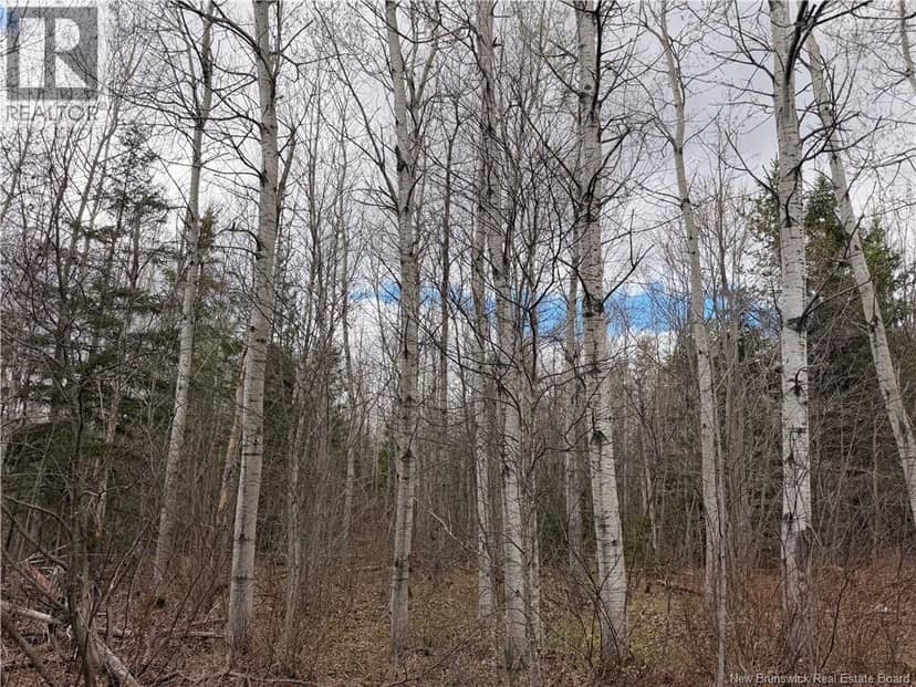 Lots McLaughlin Road — photo 5 of 10