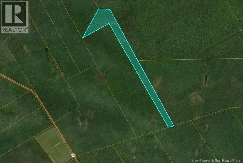 Lots McLaughlin Road — photo 9 of 10