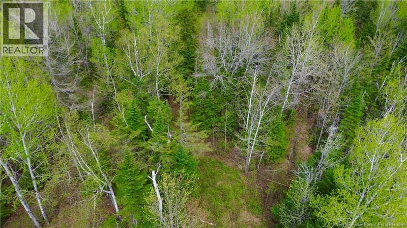 Lot Newburg Road — photo 3 of 9