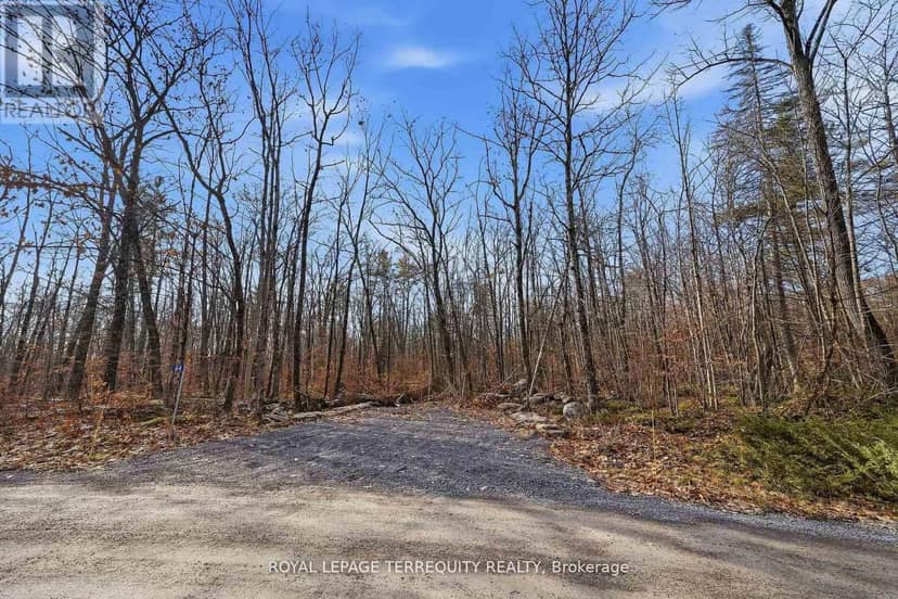 64 Maple Road — photo 8 of 14