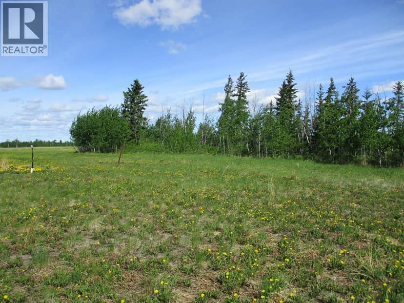 15231004 Twp Rd 920, Rural Northern Lights, County of, photo 6