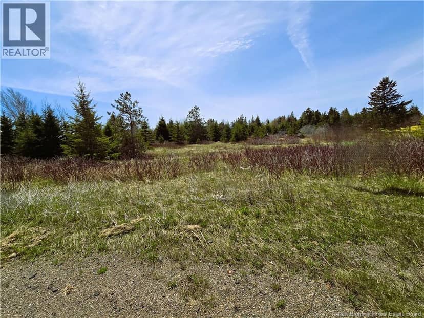 1.3 acres Route 113 — photo 9 of 10