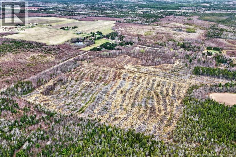 Lot Perry Road — photo 4 of 8