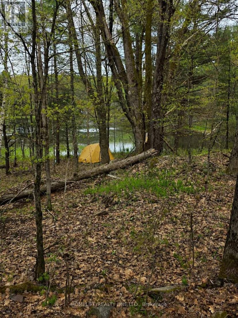 0 Village 1 Road, Muskoka Lakes, photo 3