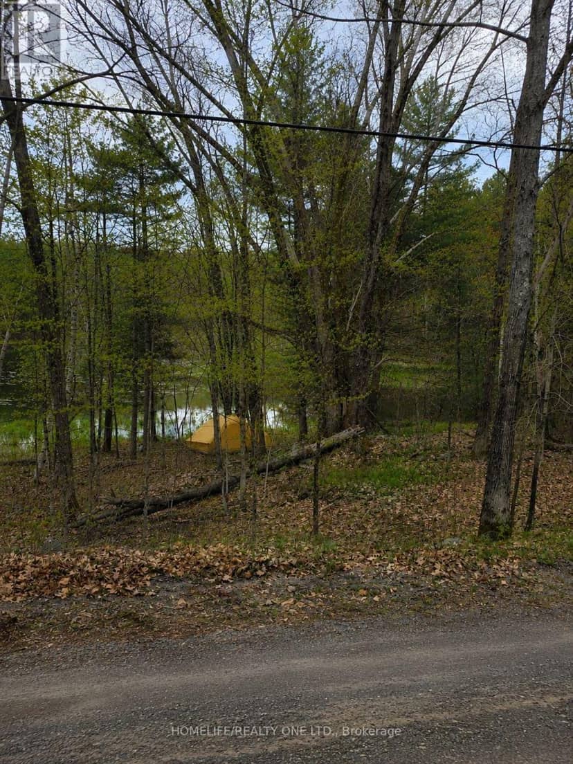 0 Village 1 Road, Muskoka Lakes, photo 4