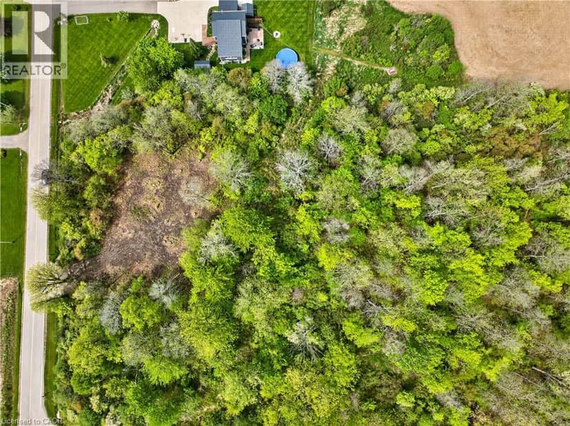 PT S1/2 LOT 36 LINK Road, Cayuga, photo 8